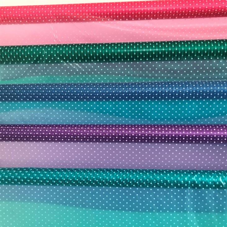 Raincoat Printed Film best